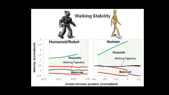 a graph that compares the Walking Stability of Robot and humans