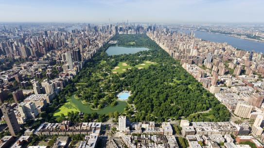 Central park as viewed from a tall building at one end.