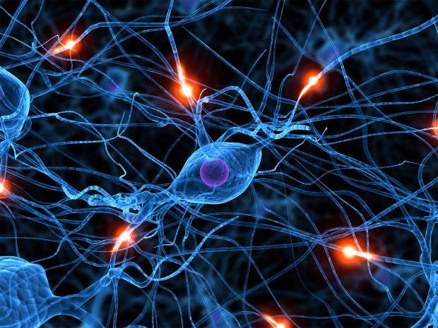 Chemical and Biomolecular Engineering Neurons