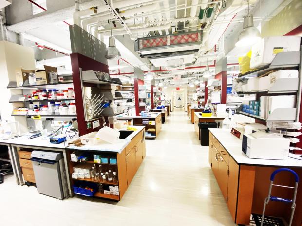 Biomedical lab setting at NYU Tandon