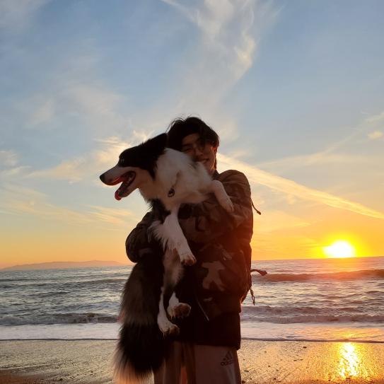 person holding a dog on a beach