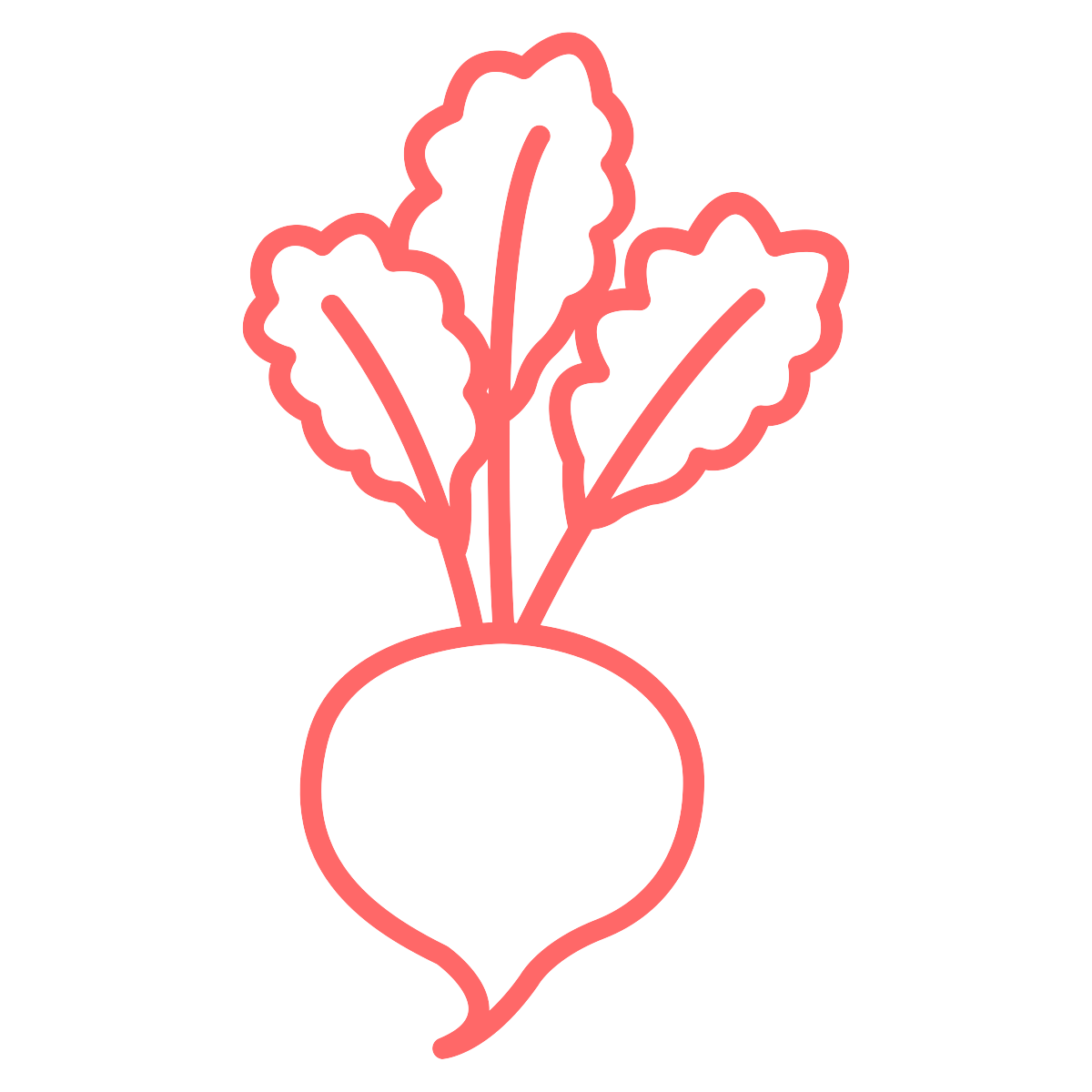 Radish Health Logo